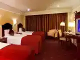 Одноместный семейный номер Стандарт