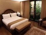 Двухместный номер Vertical Greenery View Deluxe