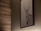 Двухместный номер Lodge Style