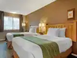 Четырёхместный номер