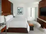 Двухместный люкс Executive c 1 комнатой с видом на город