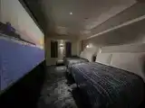 Двухместный номер Theater