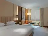 Двухместный номер Skyline View