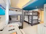Четырёхместная студия Premier
