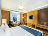 Двухместный номер Lounge Access Premium с видом на город