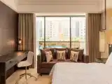 Двухместный полулюкс Deluxe с балконом и с видом на город