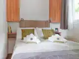Lodge Dog
