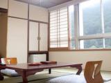 Одноместный номер Стандарт Japanese-Style
