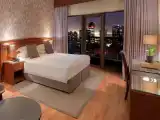 Двухместный номер Skyline Premium