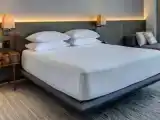 Двухместный люкс Presidential