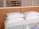 Двухместная студия Garden House