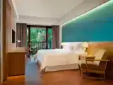Двухместный номер Deluxe Premier