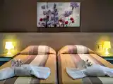Двухместная студия Superior