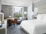 Двухместный номер Premier City View