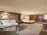 Двухместная студия Premier