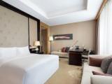 Двухместный полулюкс Lounge Access