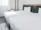 Двухместный номер Robohon