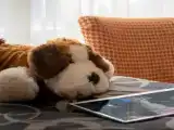 Семейный номер Interconnecting