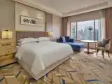 Двухместный номер Club Lounge Access Guest с видом на город