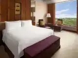 Двухместный номер Deluxe Terrace