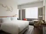 Номер Executive Premium