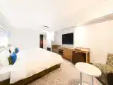 Двухместный номер Premium oceanfront