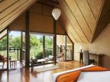 Dwelling Forest