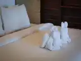 Двухместный полулюкс с видом на сад