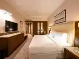 Двухместный люкс Premium с красивым видом из окна