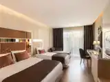 Трёхместный номер Deluxe Superior