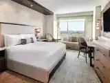 Номер Deluxe Premium с видом на парк