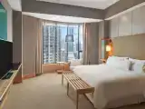 Двухместный люкс Club Lounge Access Presidential c 1 комнатой