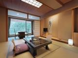 Номер Japanese-Style Стандарт