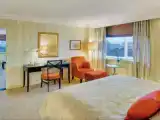 Люкс Senior