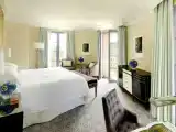 Двухместный номер Premier с видом на парк
