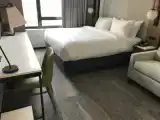 Двухместный номер Executive с диваном-кроватью