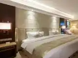 Двухместный номер Business