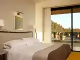 Люкс Deluxe Advanced Detox