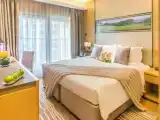 Двухместные апартаменты Executive c 1 комнатой