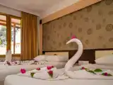 Двухместный клубный номер Garden