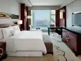Двухместный номер Executive Lounge Access Premium с видом на Жемчужную реку