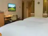 Двухместный номер E500