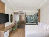Двухместный люкс с джакузи Premium