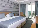 Двухместный номер Deluxe