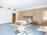 Ibiza Junior