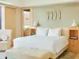 Двухместный люкс Presidential
