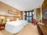 Двухместный номер New Luxury Business