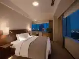 Двухместный номер Panoramic