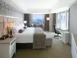 Двухместный полулюкс Club Lounge Access с видом на реку