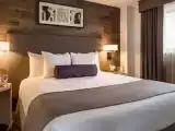 Двухместный люкс Premier